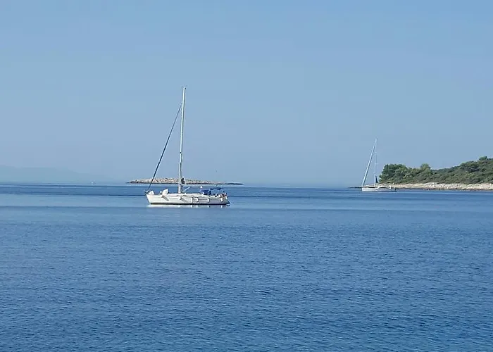 Apartmani Mariela *