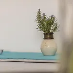 Διαμέρισμα Apartmani Mariela Maslinica