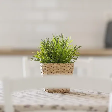 Apartmani Mariela Maslinica