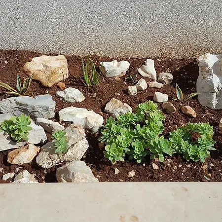 Apartmani Mariela * Maslinica